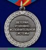 Медаль «Ветеран уголовно-исполнительной системы (УИС)» 2000 года, Российская Федерация