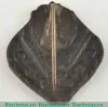Знак «Праздник Песни в Лиепае. 1948» 1948 года, СССР