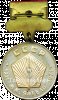 Медаль имени академика М.К. Янгеля 1980 года, СССР
