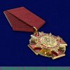 Орденский знак «За Службу России», Российская Федерация