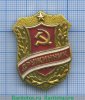Знак «Дружинник», СССР