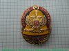 Знак Волжского казачьего войска 1995 года, Российская Федерация
