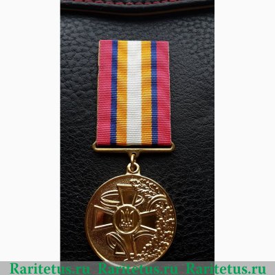 Медаль "За заслуги в ликвидации последствий чрезвычайной ситуации" 2008 года, Украина