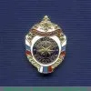 Нагрудный знак МЧС России "Спасатель" 2006 года, Российская Федерация