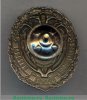 Знак «Почетный сотрудник Федеральной службы охраны», Российская Федерация