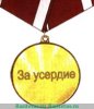 Медаль "За усердие" 2005 года, Российская Федерация