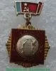 Знак чемпиона первенства «Динамо» города Москвы. Волейбол 1971 - 1980 годов, СССР
