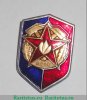 Знак «Всероссийское добровольное пожарное общество (ВДПО)», СССР