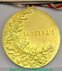 Медаль "За усердие" 1915-1917 годов, Российская Империя