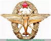 Знак «3 военная школа летчиков и летнабов» 1930 года, СССР